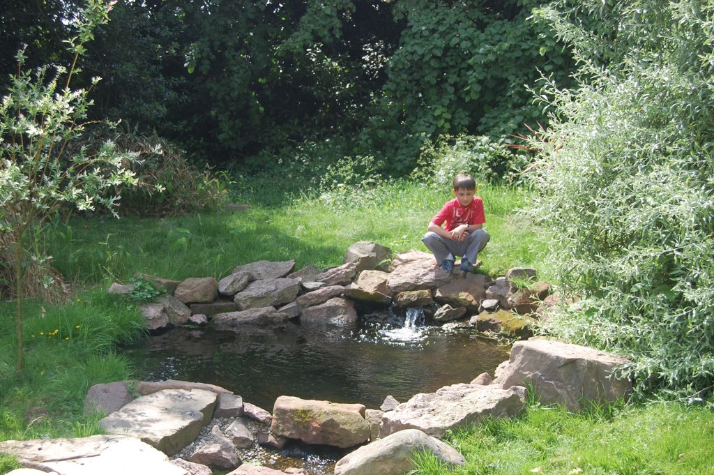 Meole Hall Garden, Meole Village, Shrewsbury