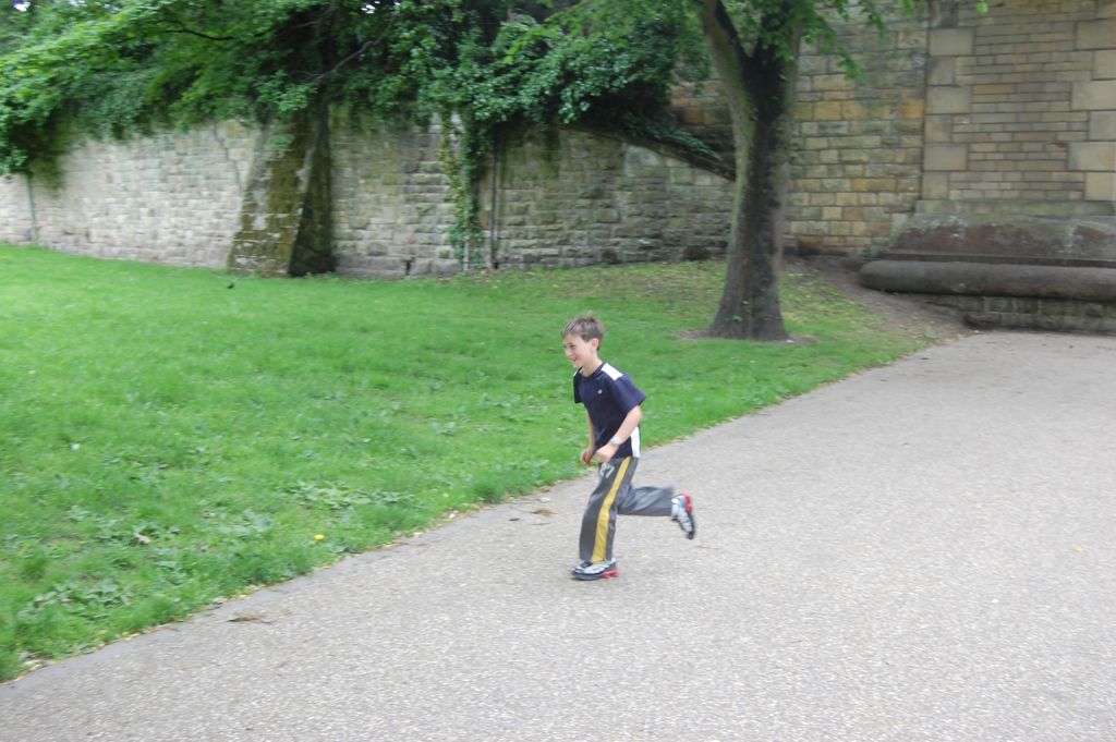 Henry, Quarry, Shrewsbury