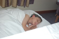 Henry, Premier Inn, London